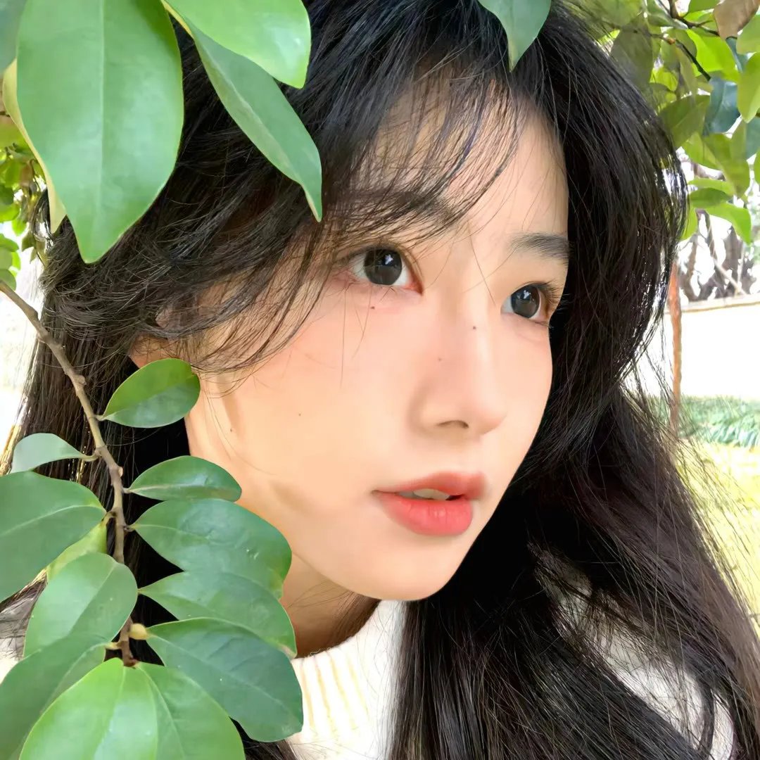 闪耀的恒星