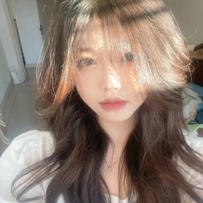 森林里的熊先生