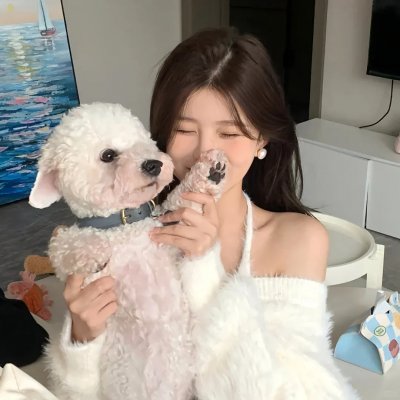 史考特与席德